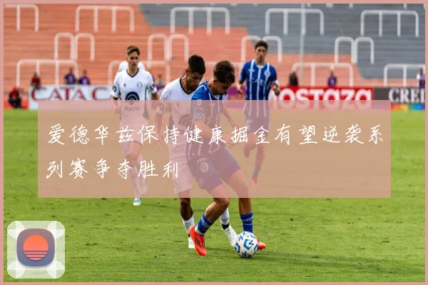 爱德华兹保持健康掘金有望逆袭系列赛争夺胜利